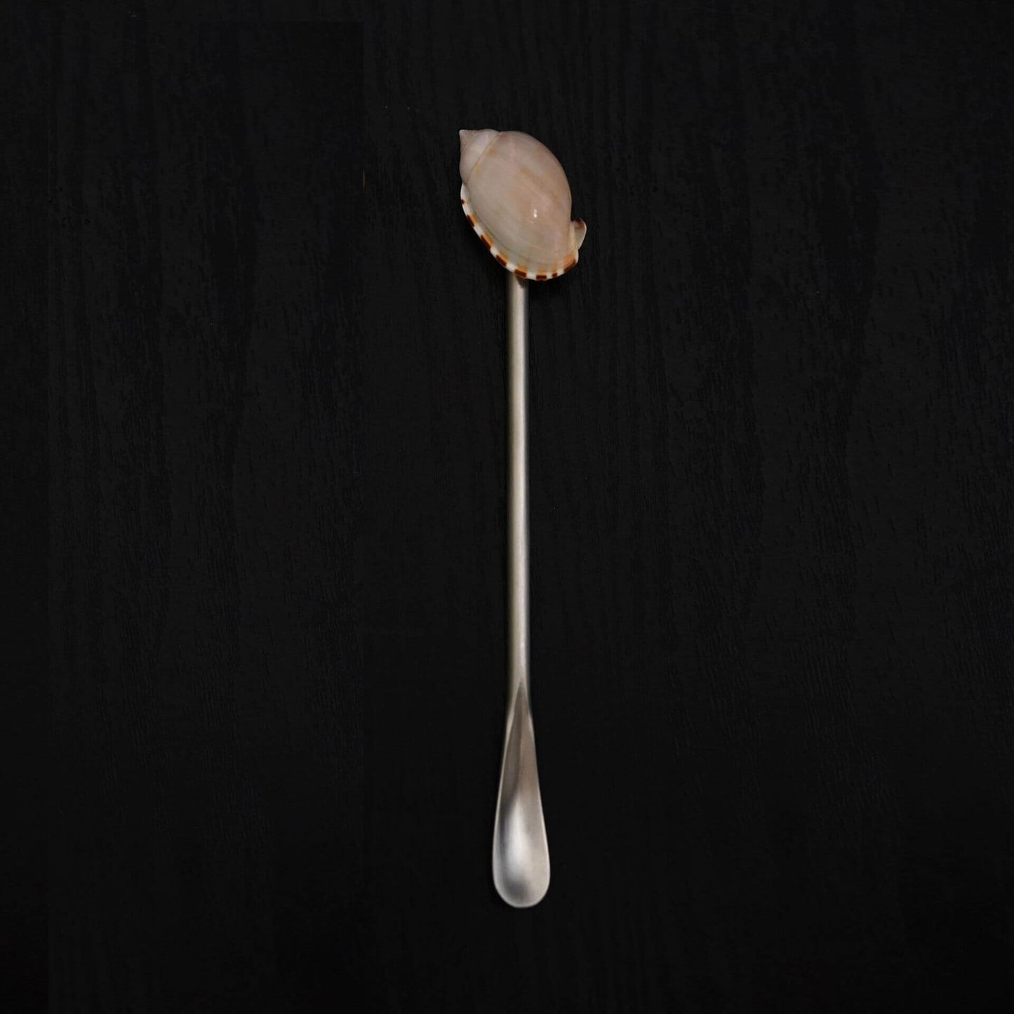 Seashell Handle Coffee Spoon