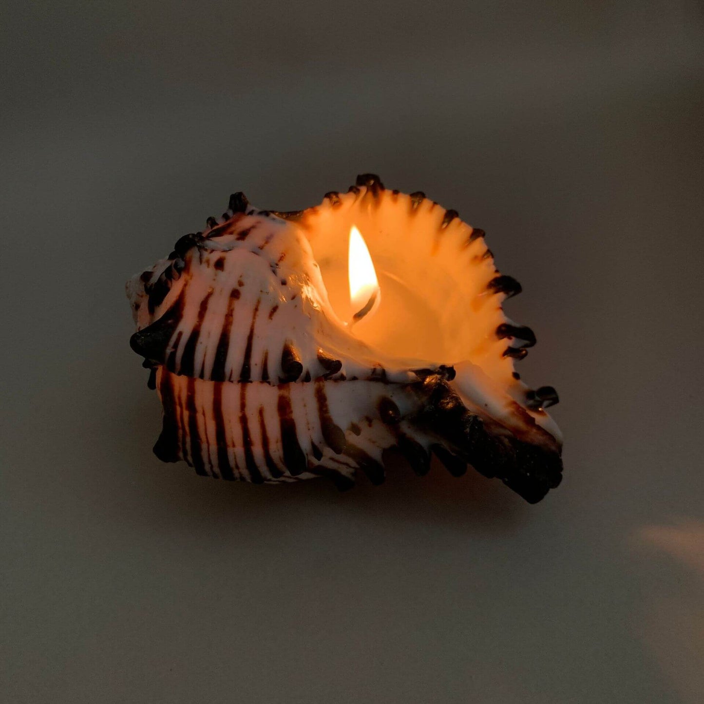 Handmade Seashell Candles