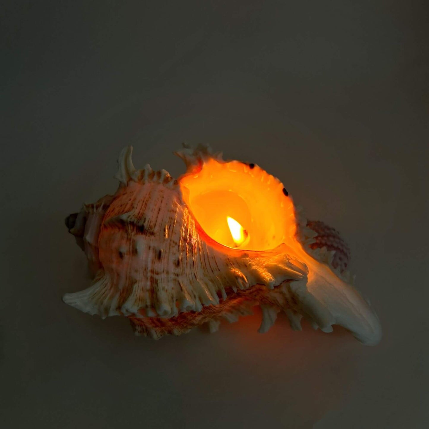 Handmade Seashell Candles