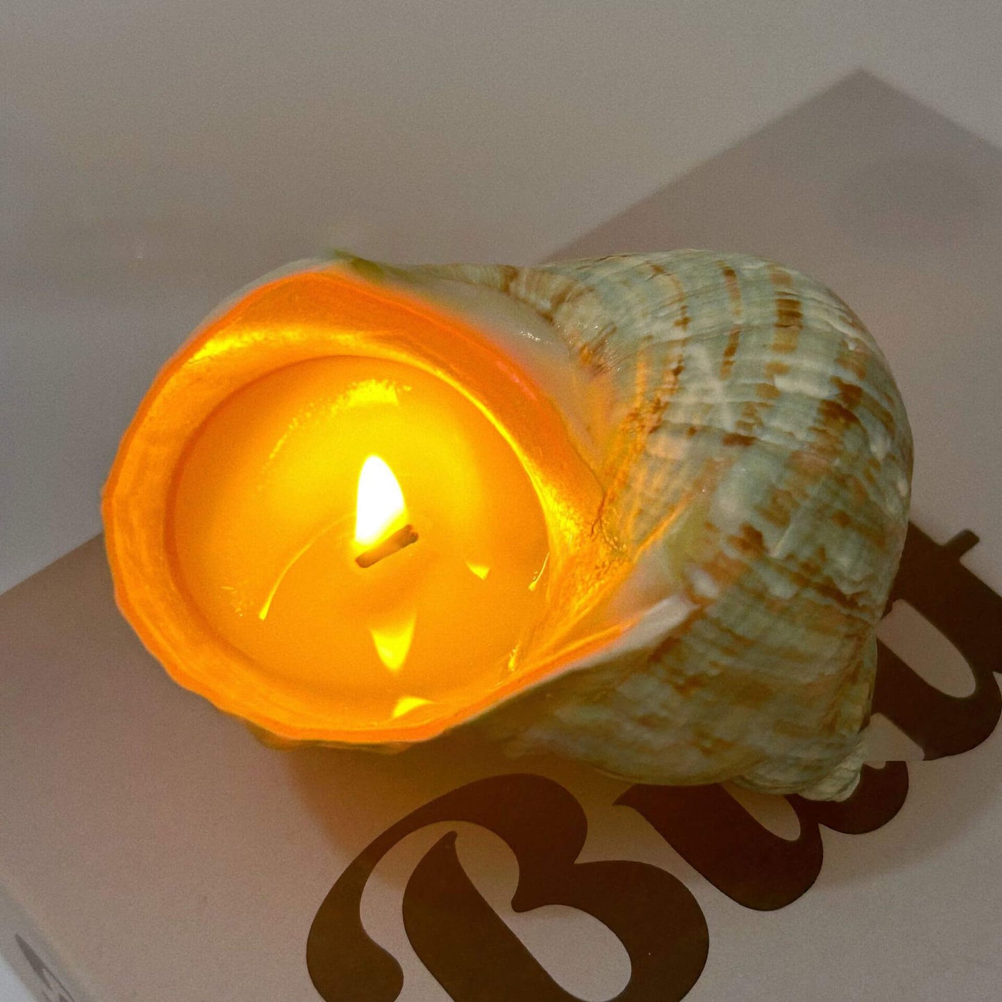 Handmade Seashell Candles