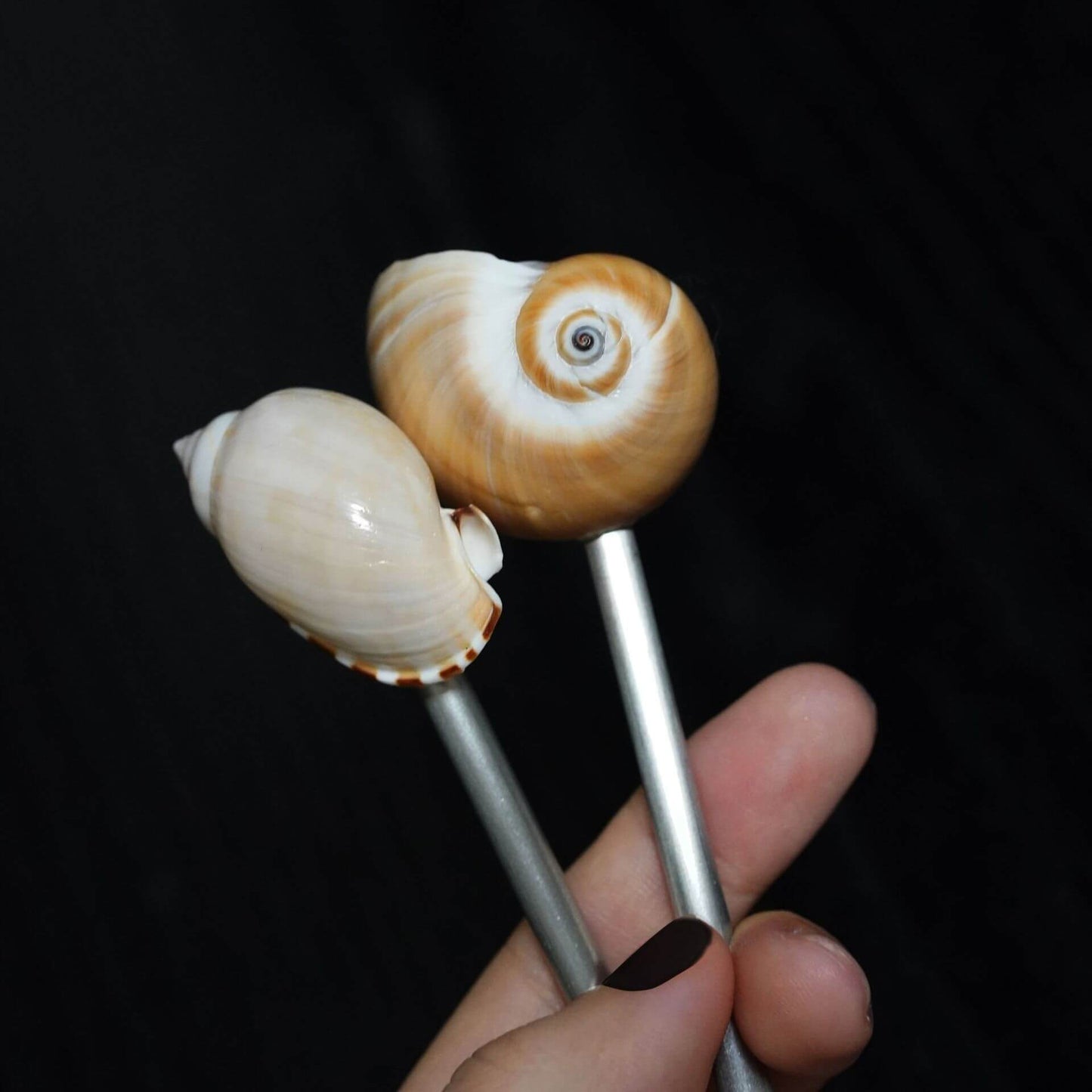 Seashell Handle Coffee Spoon