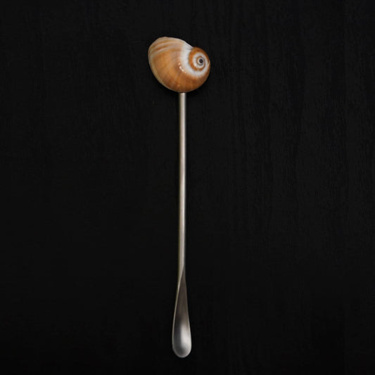 Seashell Handle Coffee Spoon