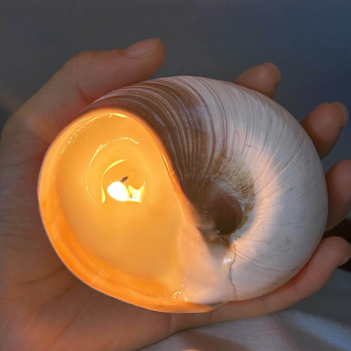 Handmade Seashell Candles