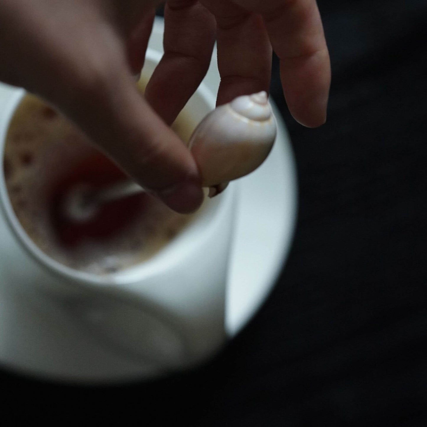 Seashell Handle Coffee Spoon