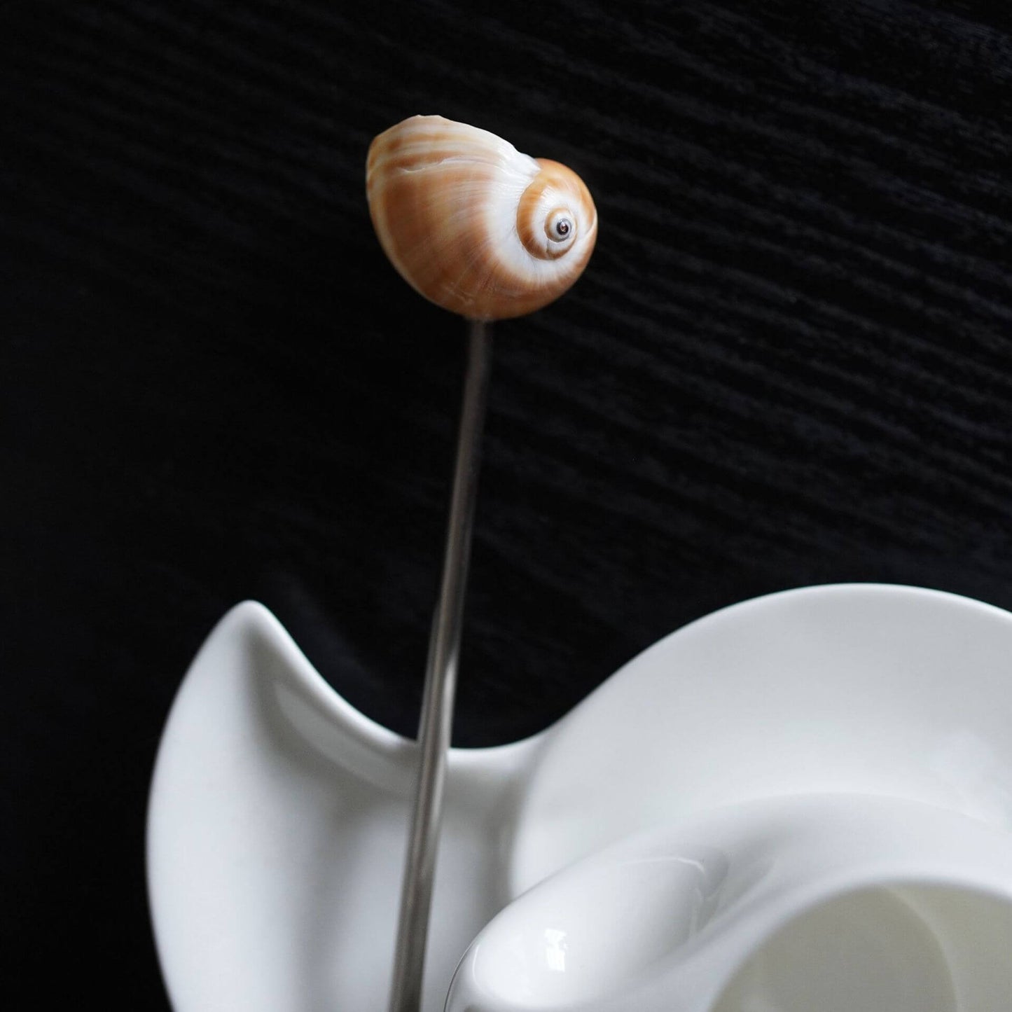 Seashell Handle Coffee Spoon